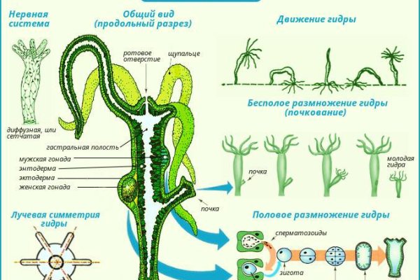 Кракен официальный сайт 2krnk cc