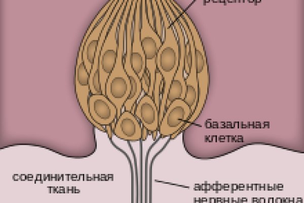 Новая ссылка на кракен