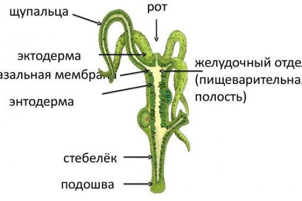 Кракен продает наркотики