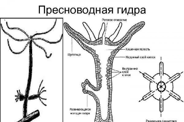 Кракен интернет