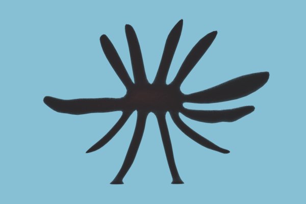Kraken маркетплейс официальный